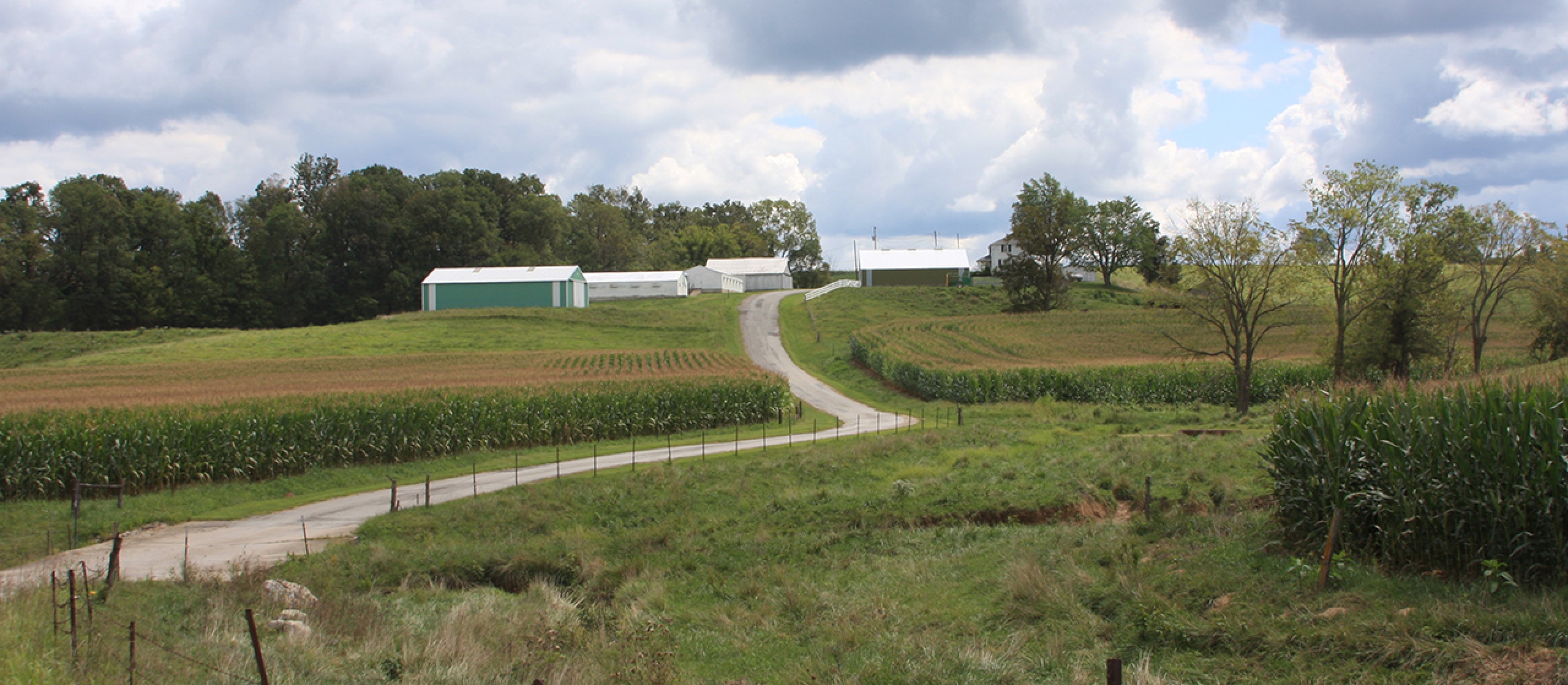 Home Buy A Farm Land and Auction Company