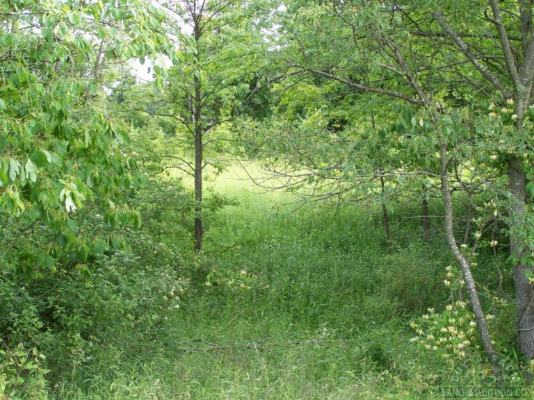 land for sale clay county il 21 acres (2) Buy A Farm Land and Auction