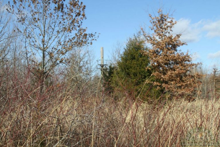 Monroe 167 (41) Buy A Farm Land and Auction Company