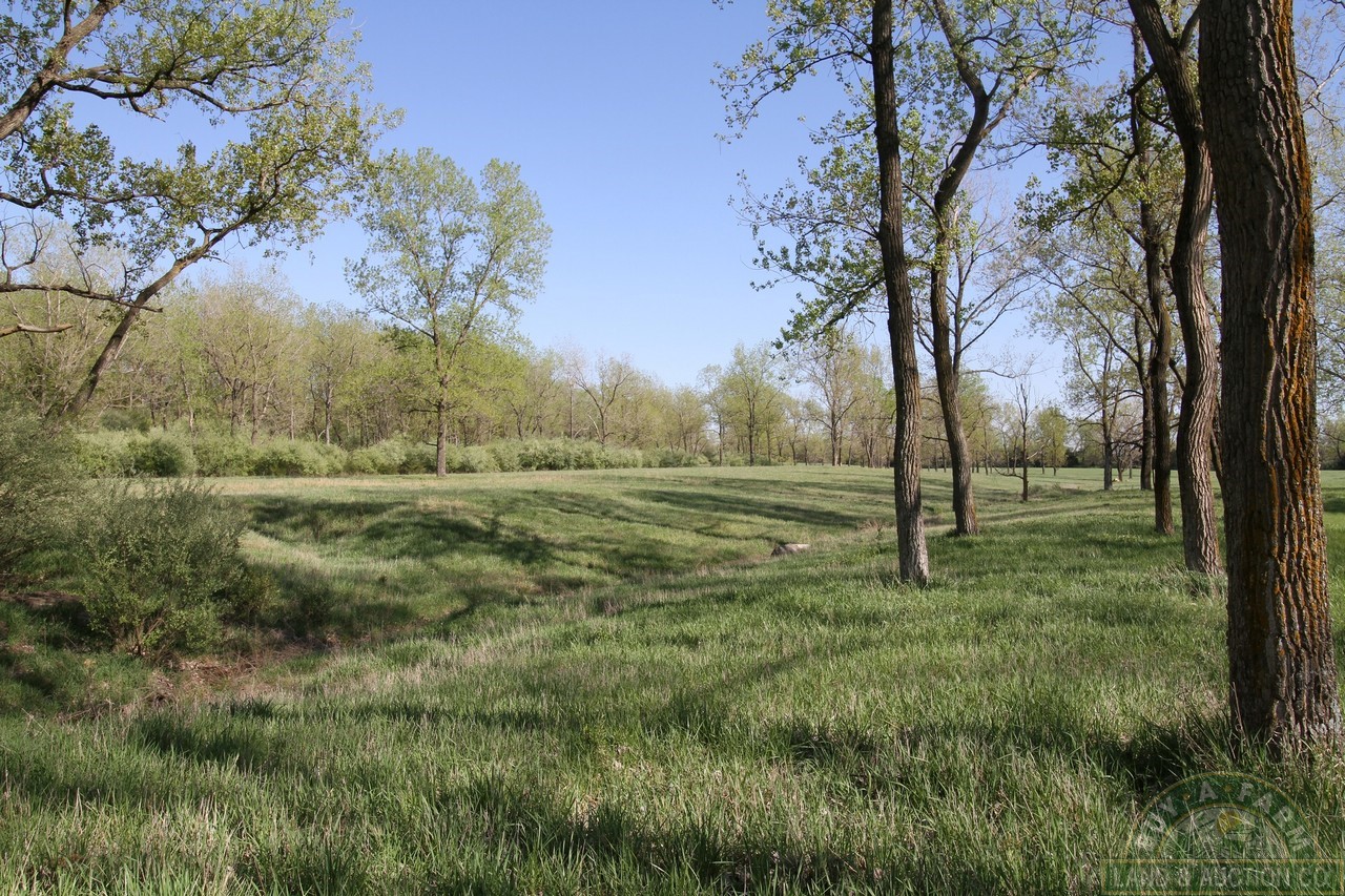 252 Buy A Farm Land and Auction Company