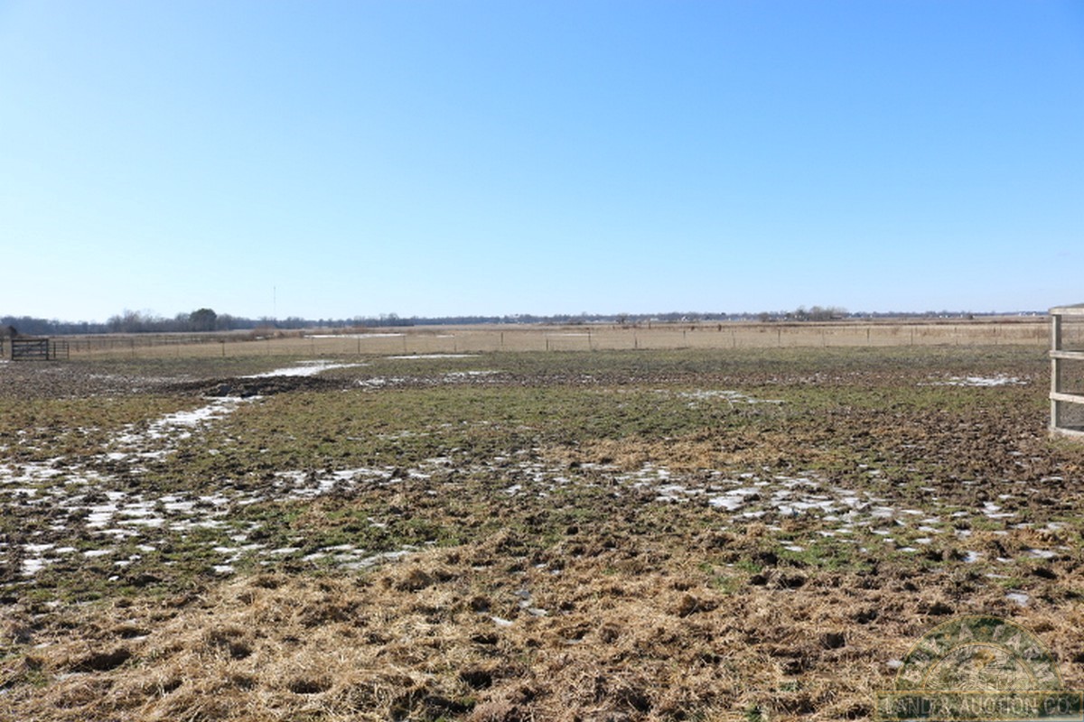 wayne county 28 acres (1) Buy A Farm Land and Auction Company