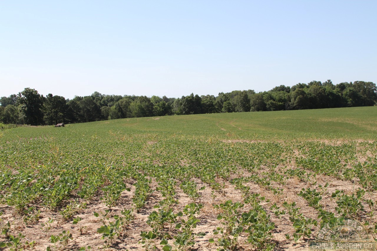 2 (3) Buy A Farm Land and Auction Company