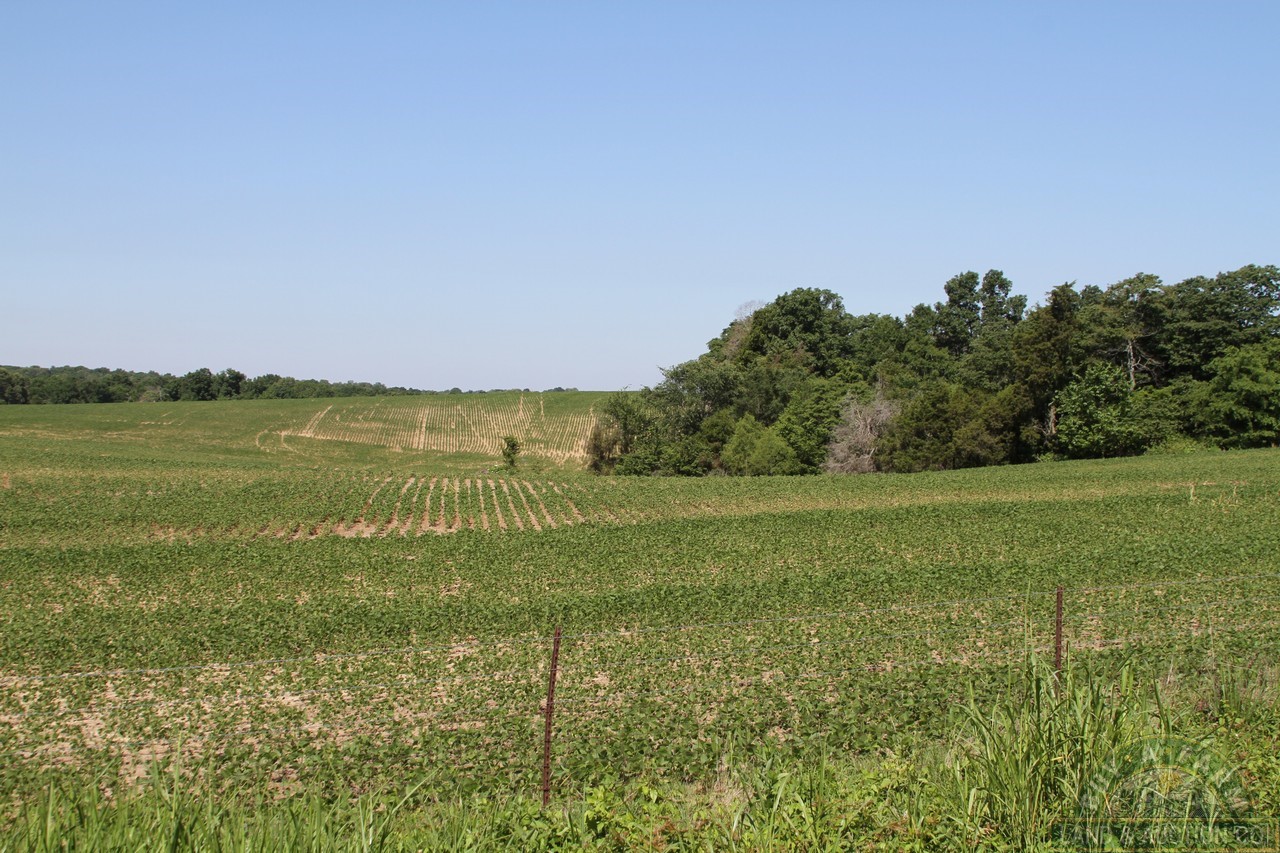 2 (5) Buy A Farm Land and Auction Company