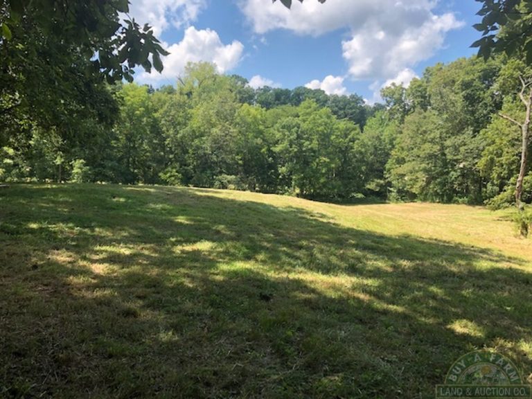 land cabin for sale clark co il 13 ac (5) Buy A Farm Land and Auction