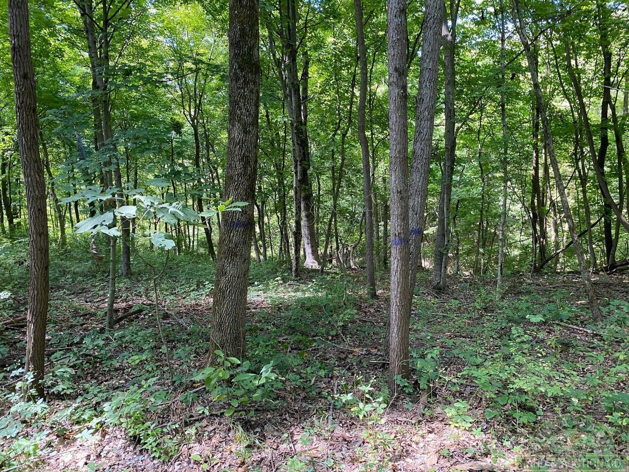 land for sale fayette co il 72 acres (1) Buy A Farm Land and Auction Company