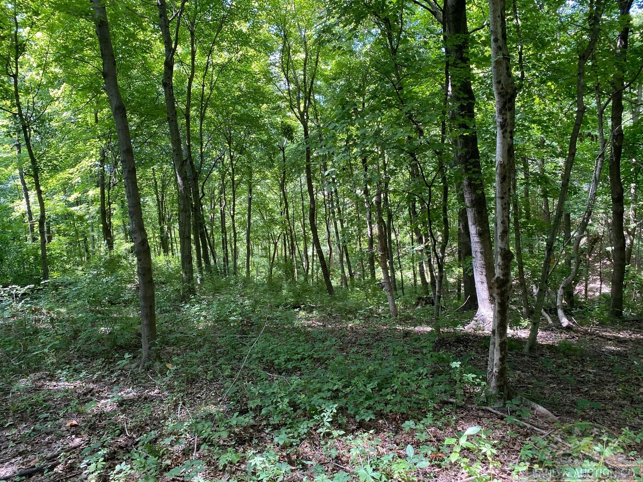 land for sale fayette co il 72 acres (16) Buy A Farm Land and Auction