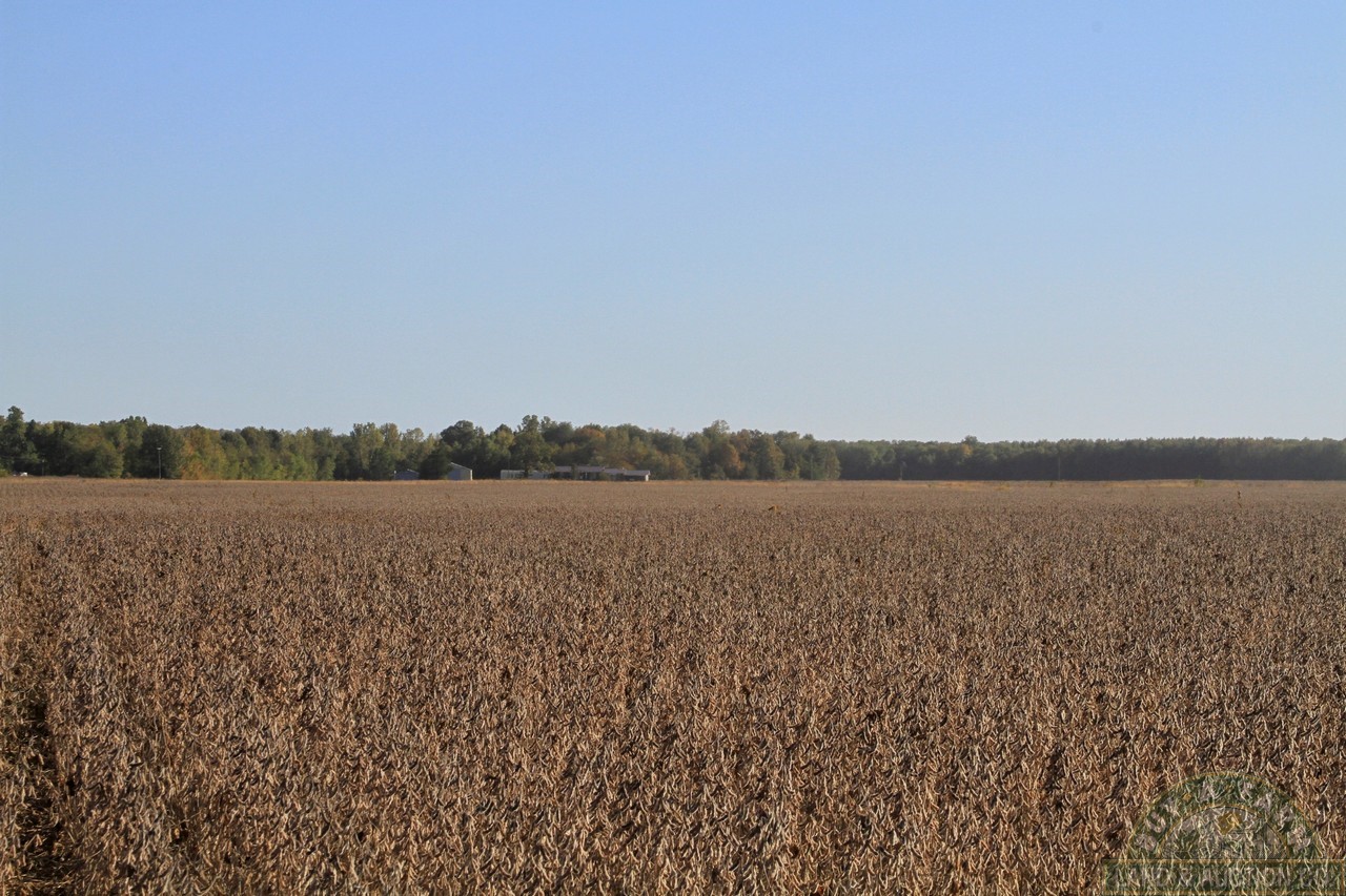 8 Buy A Farm Land and Auction Company