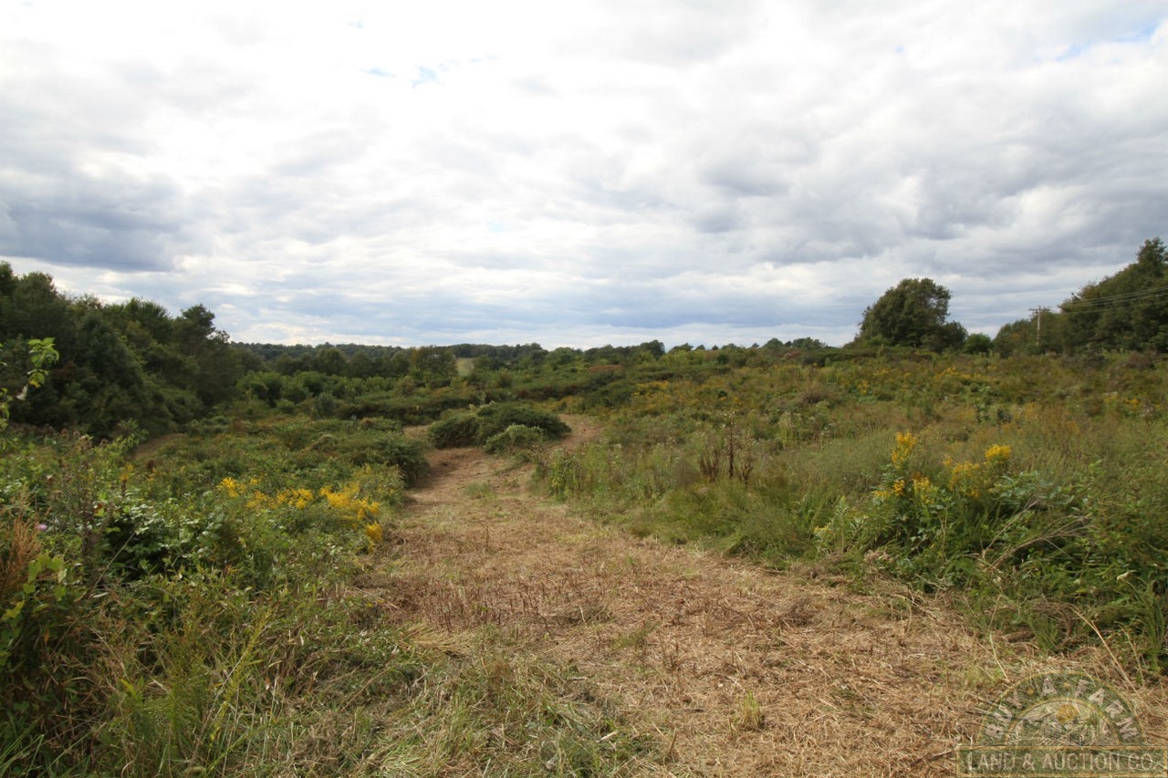 Pulaski 54 (12) Buy A Farm Land and Auction Company