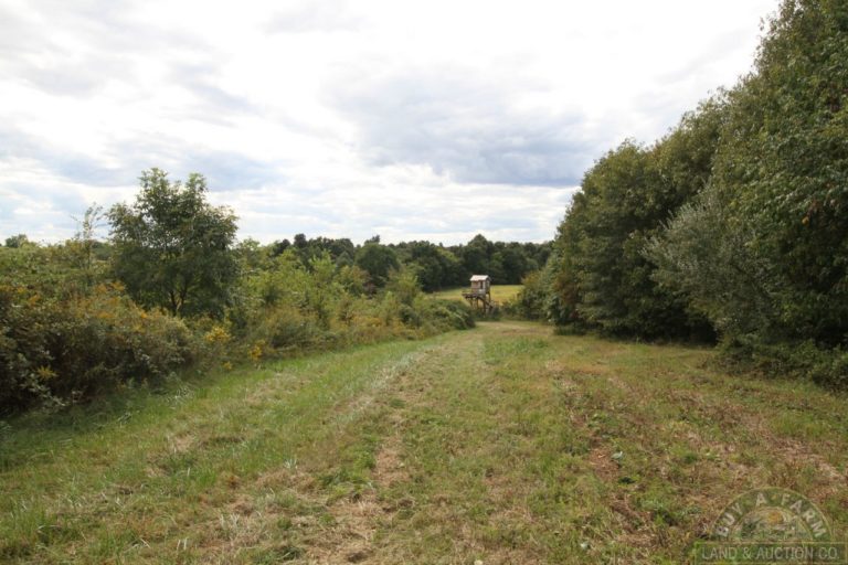 Pulaski 54 (13) Buy A Farm Land and Auction Company