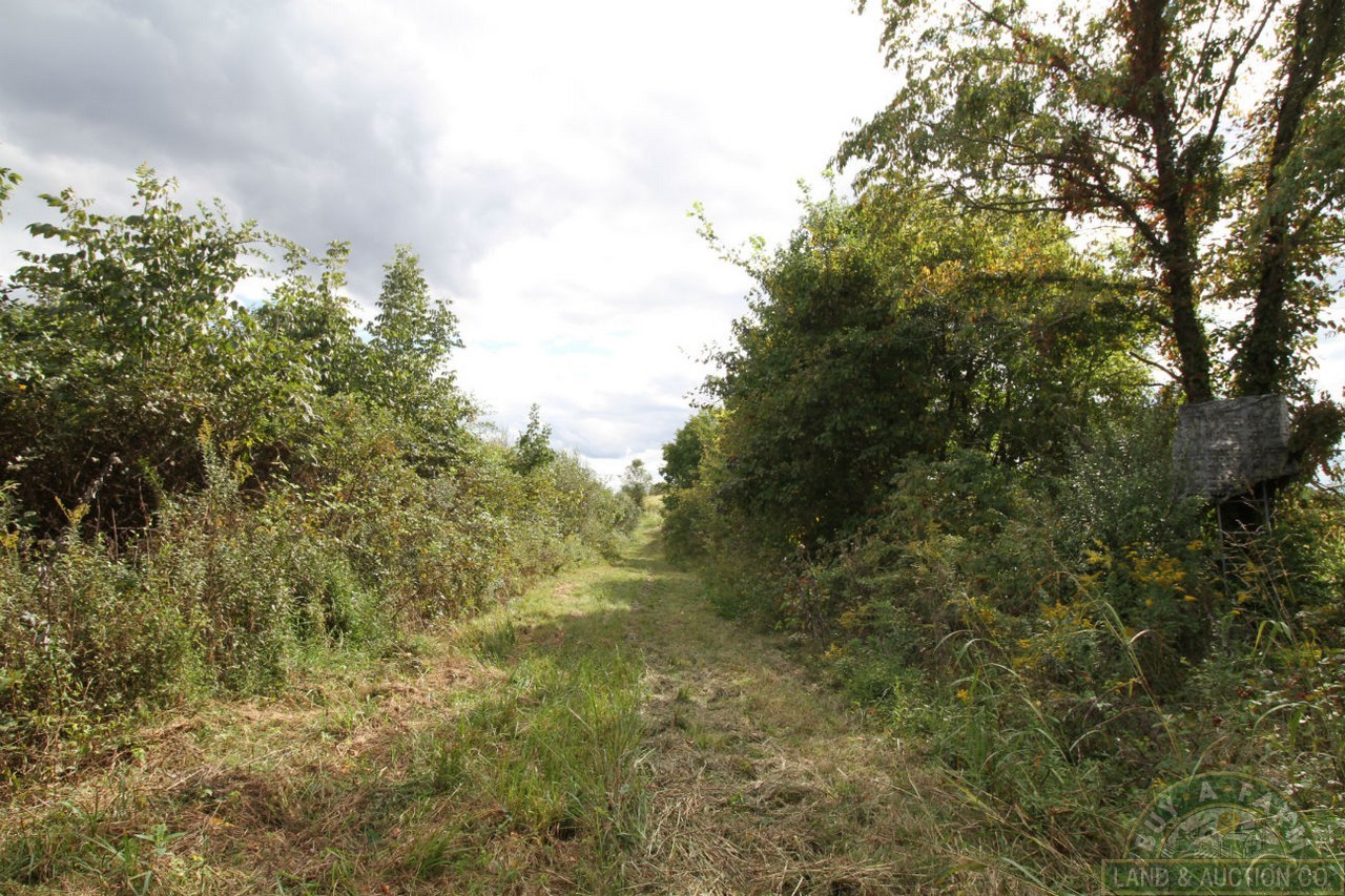 Pulaski 54 (16) Buy A Farm Land and Auction Company