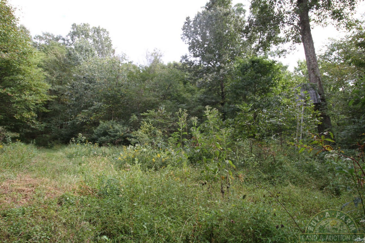 Pulaski 54 (19) Buy A Farm Land and Auction Company