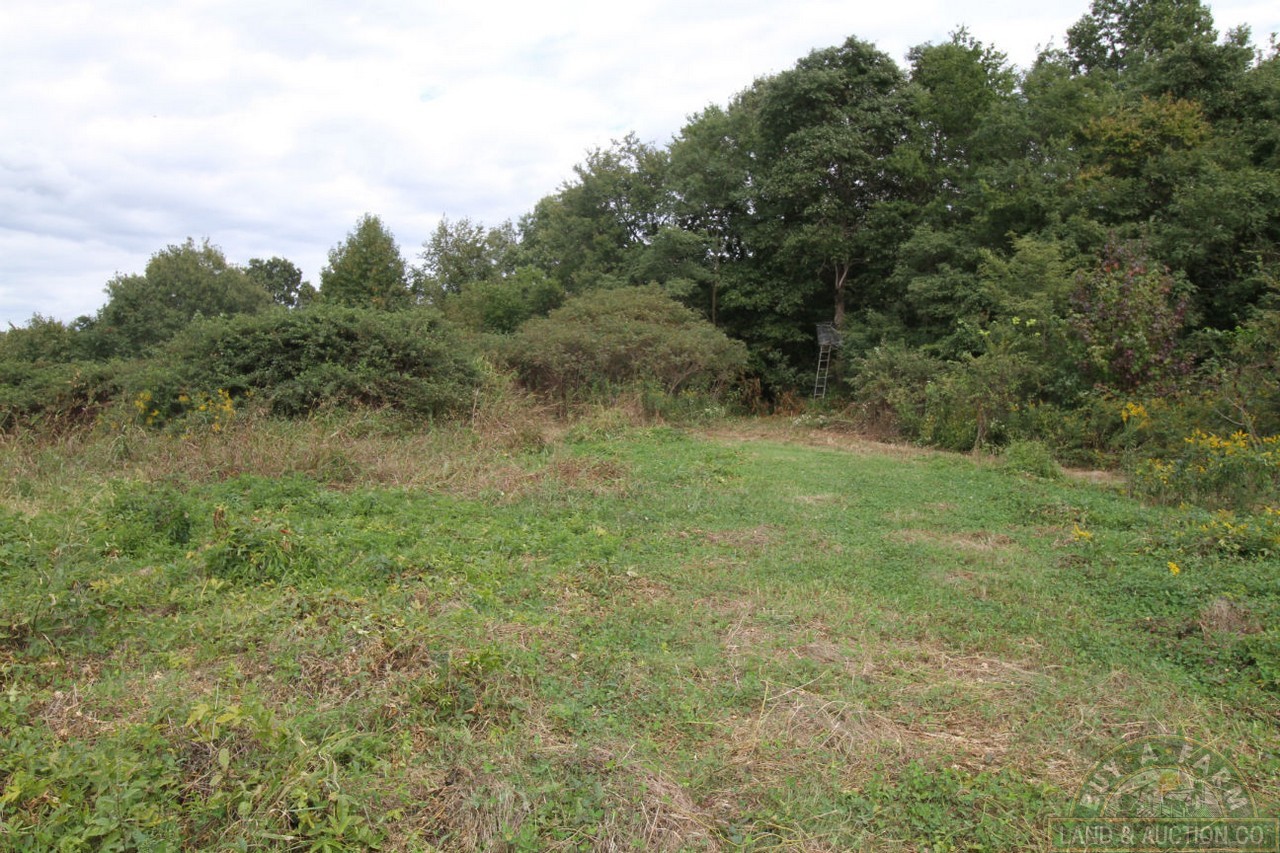 Pulaski 54 (28) Buy A Farm Land and Auction Company