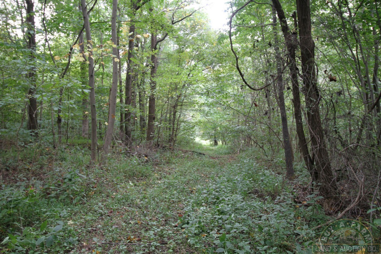 Pulaski 54 (29) Buy A Farm Land and Auction Company