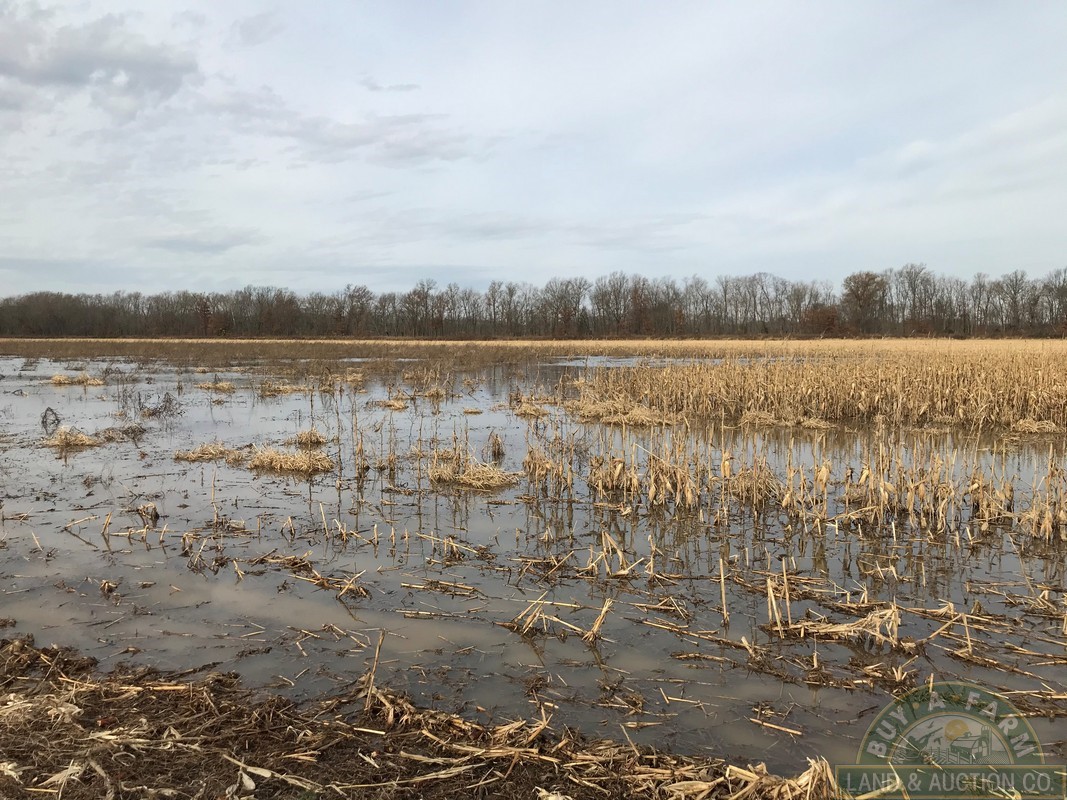 Kell (30) Buy A Farm Land and Auction Company