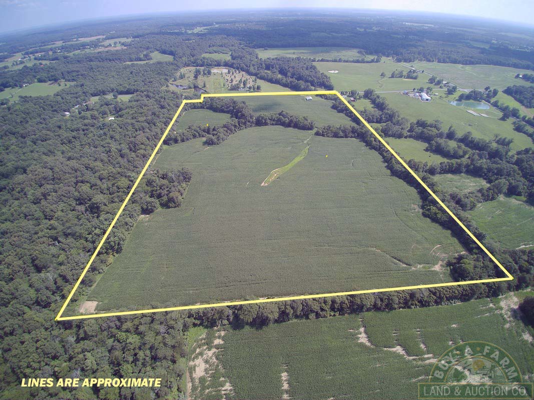 DCIM100MEDIAYUN00301.jpg Buy A Farm Land and Auction Company